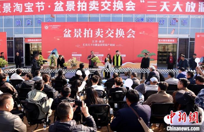 低空经济报：超百万盆创意盆景汇聚江苏新沂参加盆景贸易发展大会