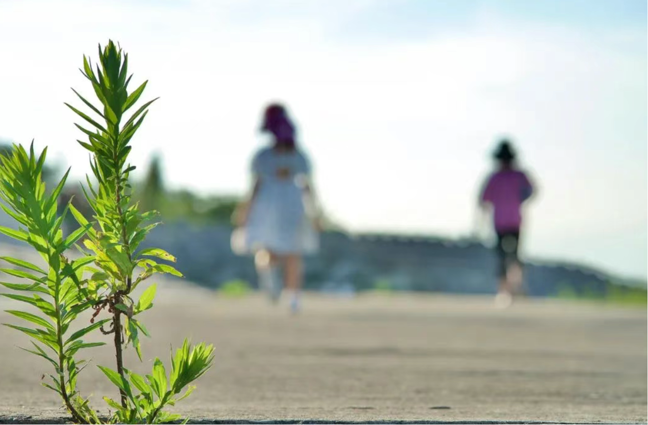平安福温情守护 | 从保费困境到68万理赔 一份保障的生命力