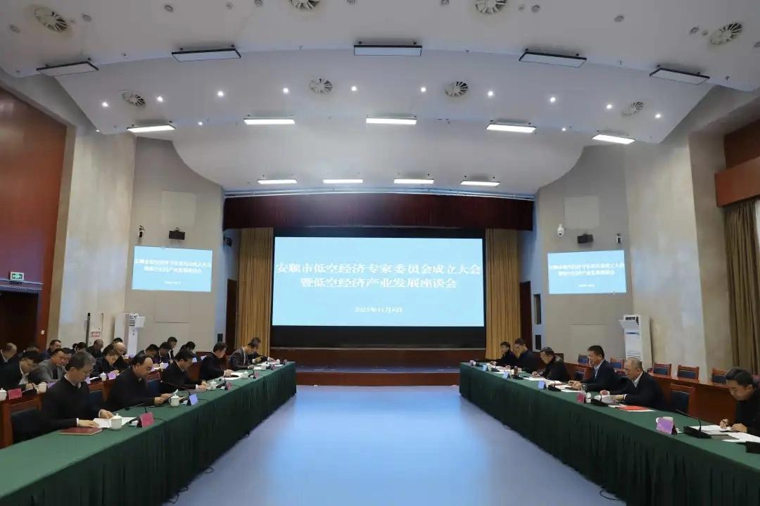 安顺市成立低空经济专家委员会