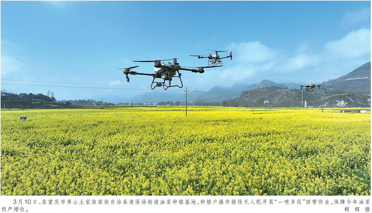 低空经济：构建产业链 助力“雄鹰”飞