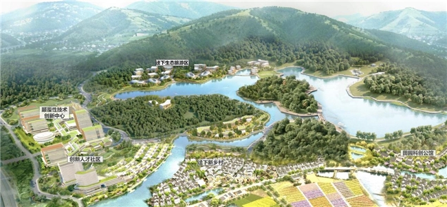 山水智城・湾顶明珠｜中新广州知识城优质人居文旅用地杭州推介会圆满举办(图3)
